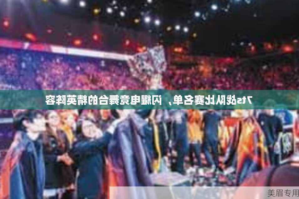 7ts战队比赛名单，闪耀电竞舞台的精英阵容