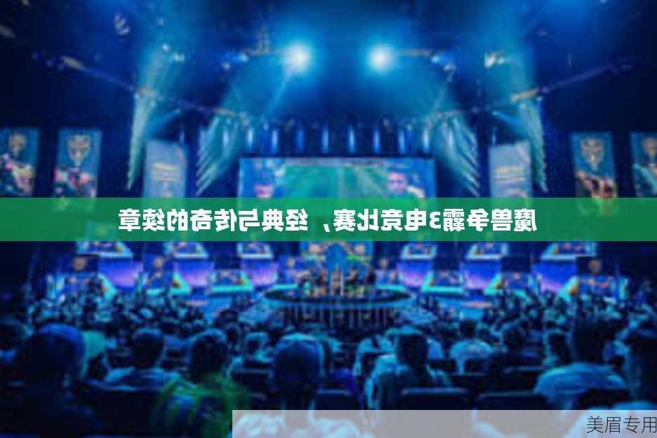 魔兽争霸3电竞比赛，经典与传奇的续章