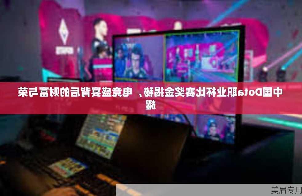 中国Dota职业杯比赛奖金揭秘，电竞盛宴背后的财富与荣耀