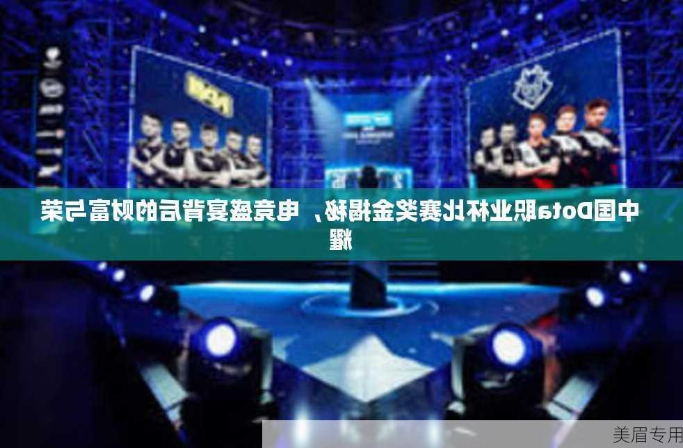 中国Dota职业杯比赛奖金揭秘，电竞盛宴背后的财富与荣耀