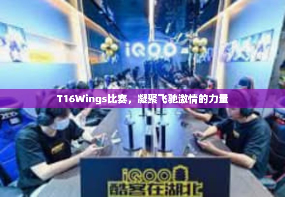 T16Wings比赛，凝聚飞驰激情的力量